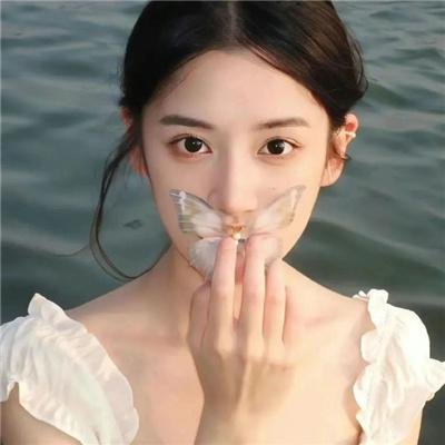 蒂莫西的奇异生活